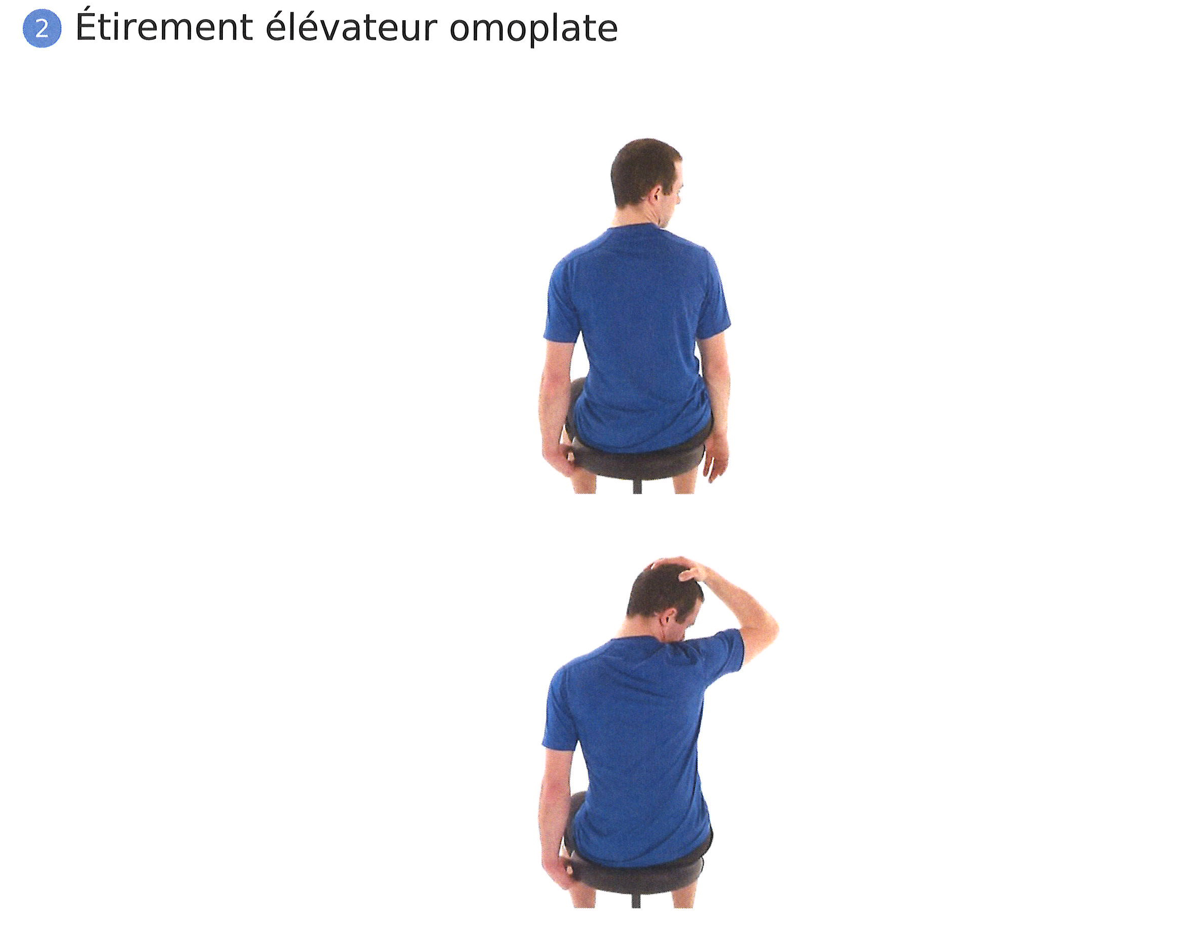 physio exercice hernie discale cervicale etirement elevateur homoplate